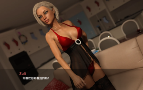 [欧美SLG汉化动态]圣诞礼物1.0 The XXXmas Special [Final] [双端705M/FM/BD]